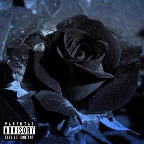 Bow Wow - Wish I Never Met Her